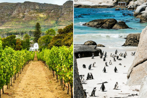 Zuid-Afrikaanse pelgrimsroute langs wijngaarden en pinguïns…