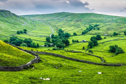 Fietsen over de ommuurde landwegen van Yorkshire Dales National Park
