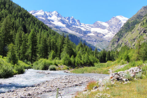 Huttentocht Val d’Aosta door Natuurpark Mont Avic
