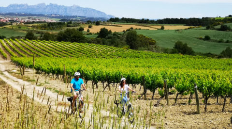 Fietsen en wijnproeven in het Catalaanse wijngebied Penedès