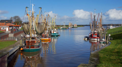 Fietsen tussen vissers en piraten in Ost-Friesland aan de Duitse kust